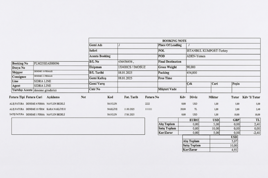 CariMUHASEBE - Raporlama