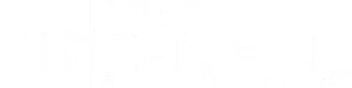 Palma Yazılım Referansı - mgeuropelogistics.com