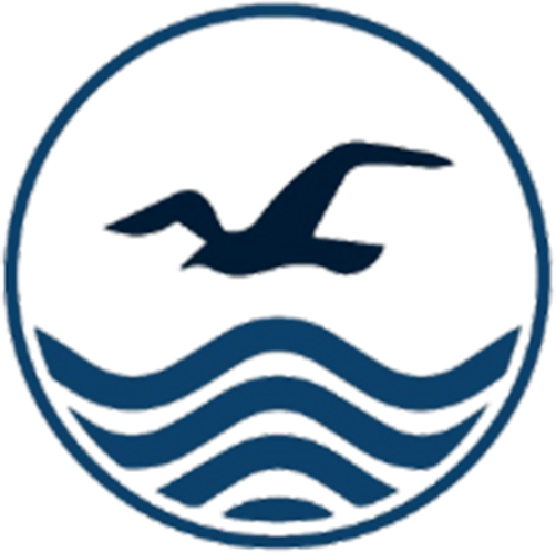 Palma Yazılım Referansı - seagullines.com